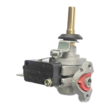 Micro Switch Pulse Ignition Built in Valve